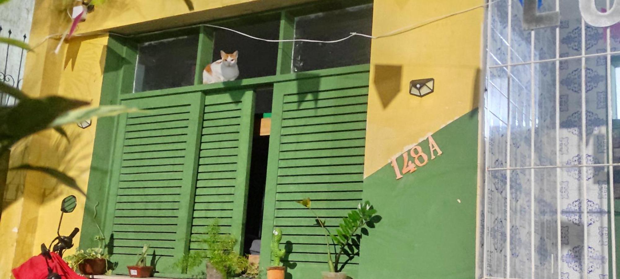 Lord Hostel Salvador Exterior foto